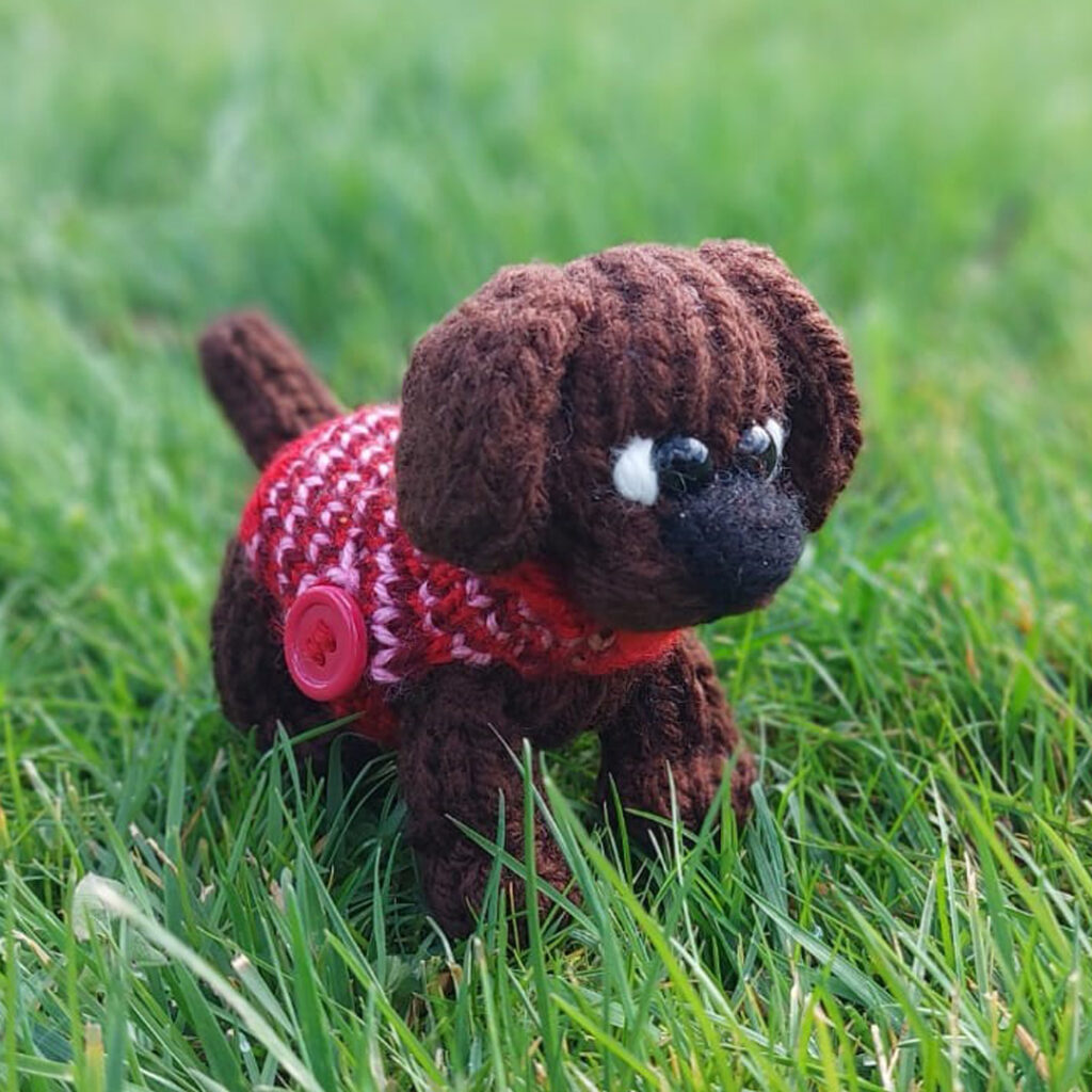 Cooper, little loom knitted dog