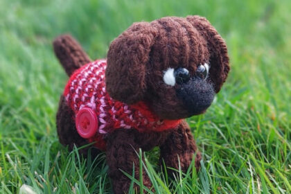 Cooper, little loom knitted dog
