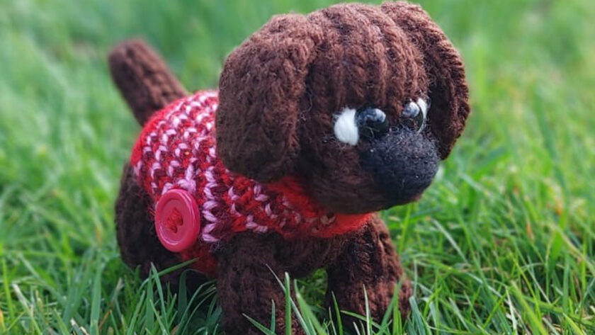 Cooper, little loom knitted dog